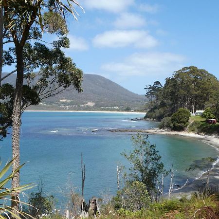 Osprey Lodge & Bungalow 伊格尔霍克内克 外观 照片