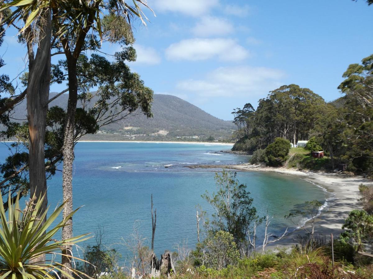 Osprey Lodge & Bungalow 伊格尔霍克内克 外观 照片