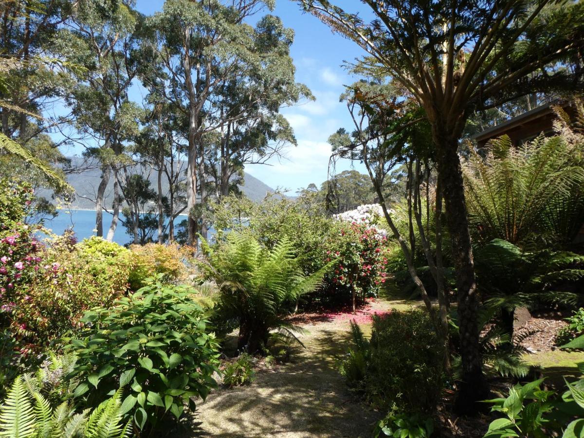 Osprey Lodge & Bungalow 伊格尔霍克内克 外观 照片