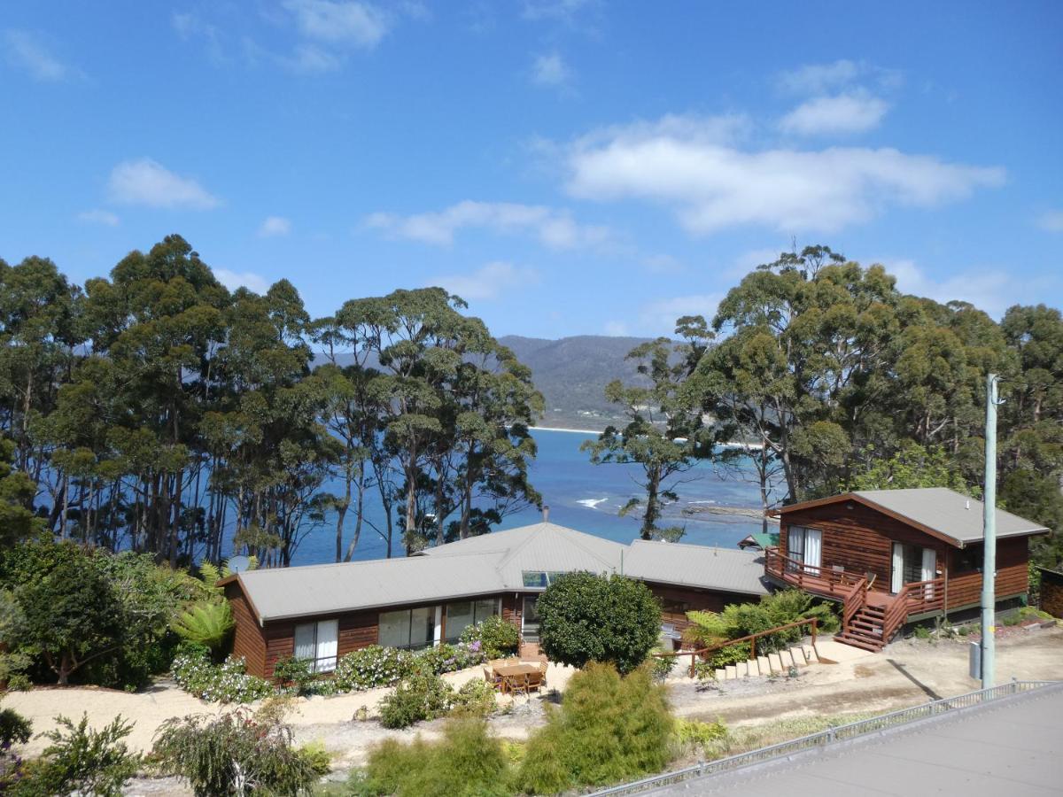 Osprey Lodge & Bungalow 伊格尔霍克内克 外观 照片