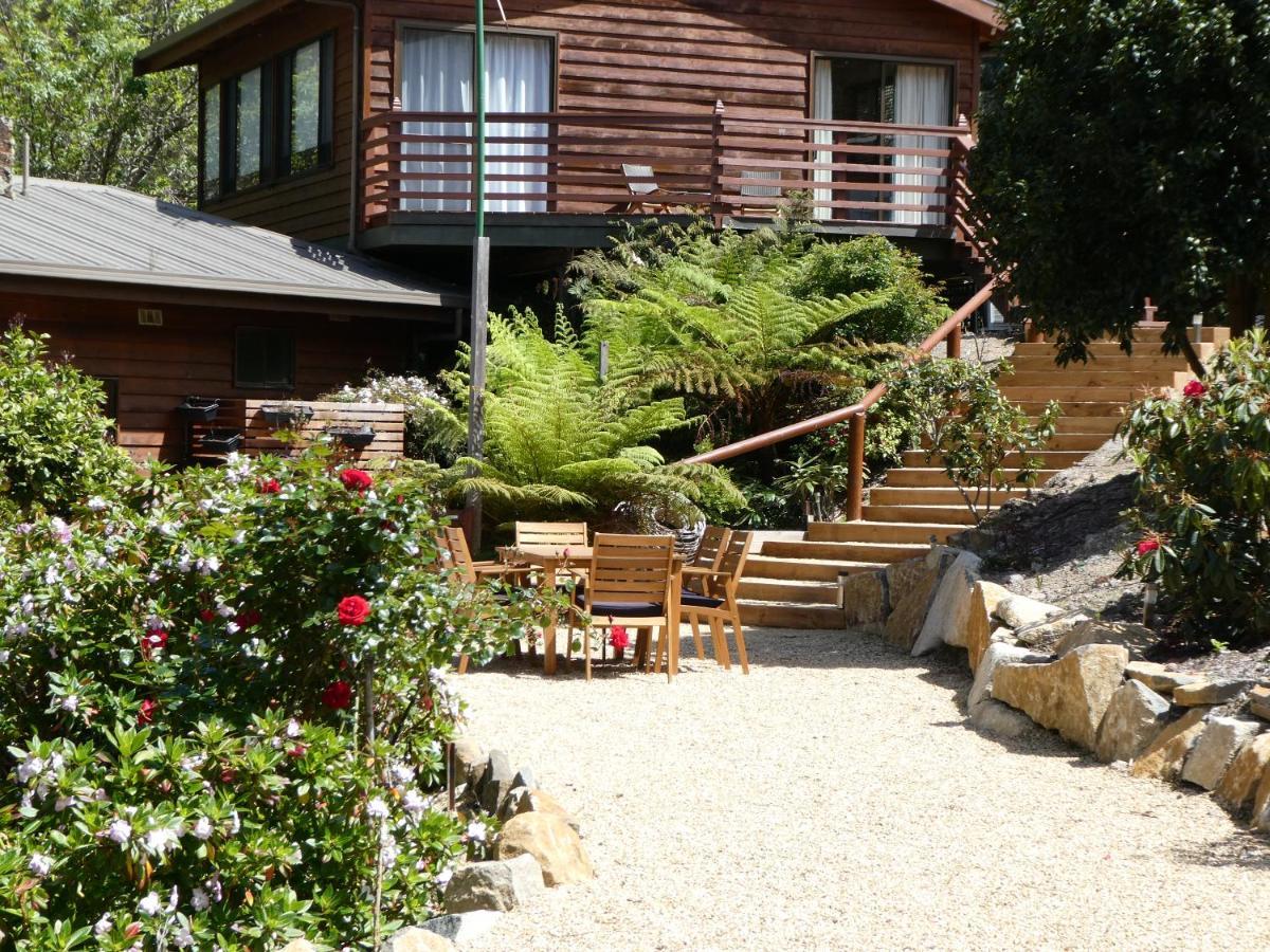 Osprey Lodge & Bungalow 伊格尔霍克内克 外观 照片