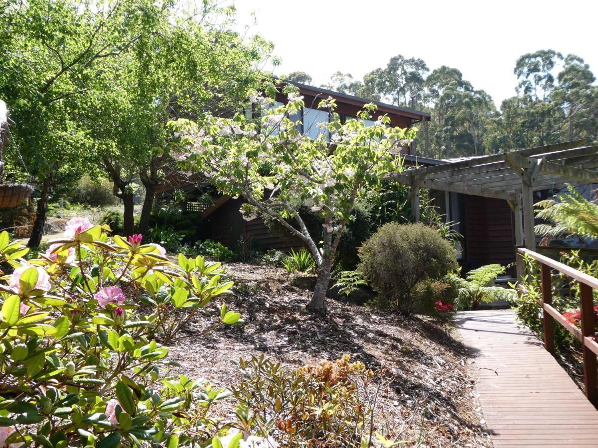 Osprey Lodge & Bungalow 伊格尔霍克内克 外观 照片